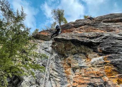 Liz Taylor on Tree Beard, 5.9