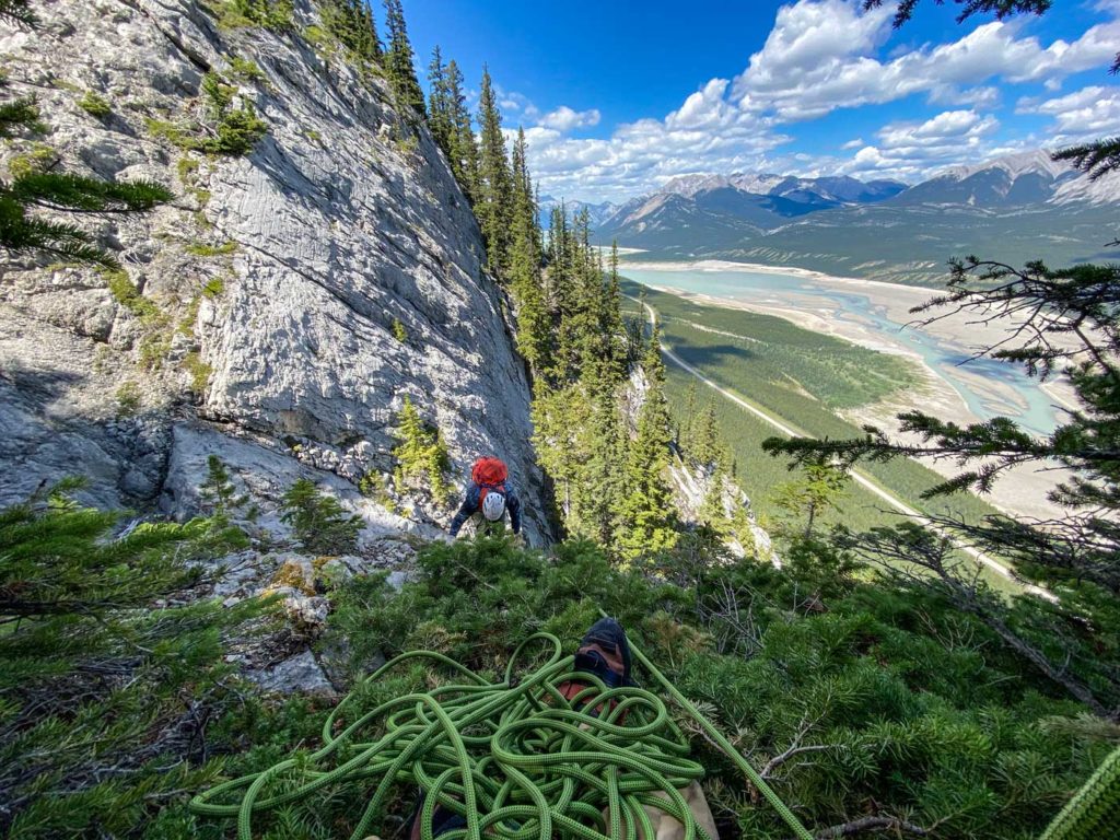 Star Struck final tree Belay