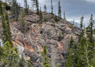 Deb Wright on Bear With Me, 5.9. Photo Tim Taylor